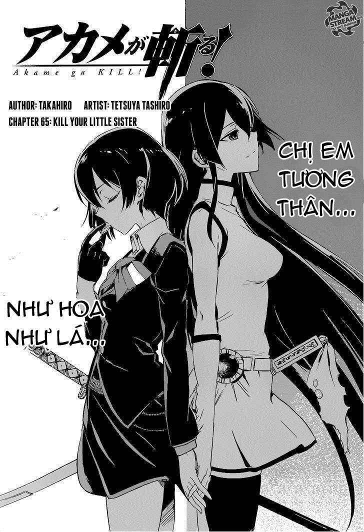 Akame Ga Kiru! Chương 65 Ảnh 6