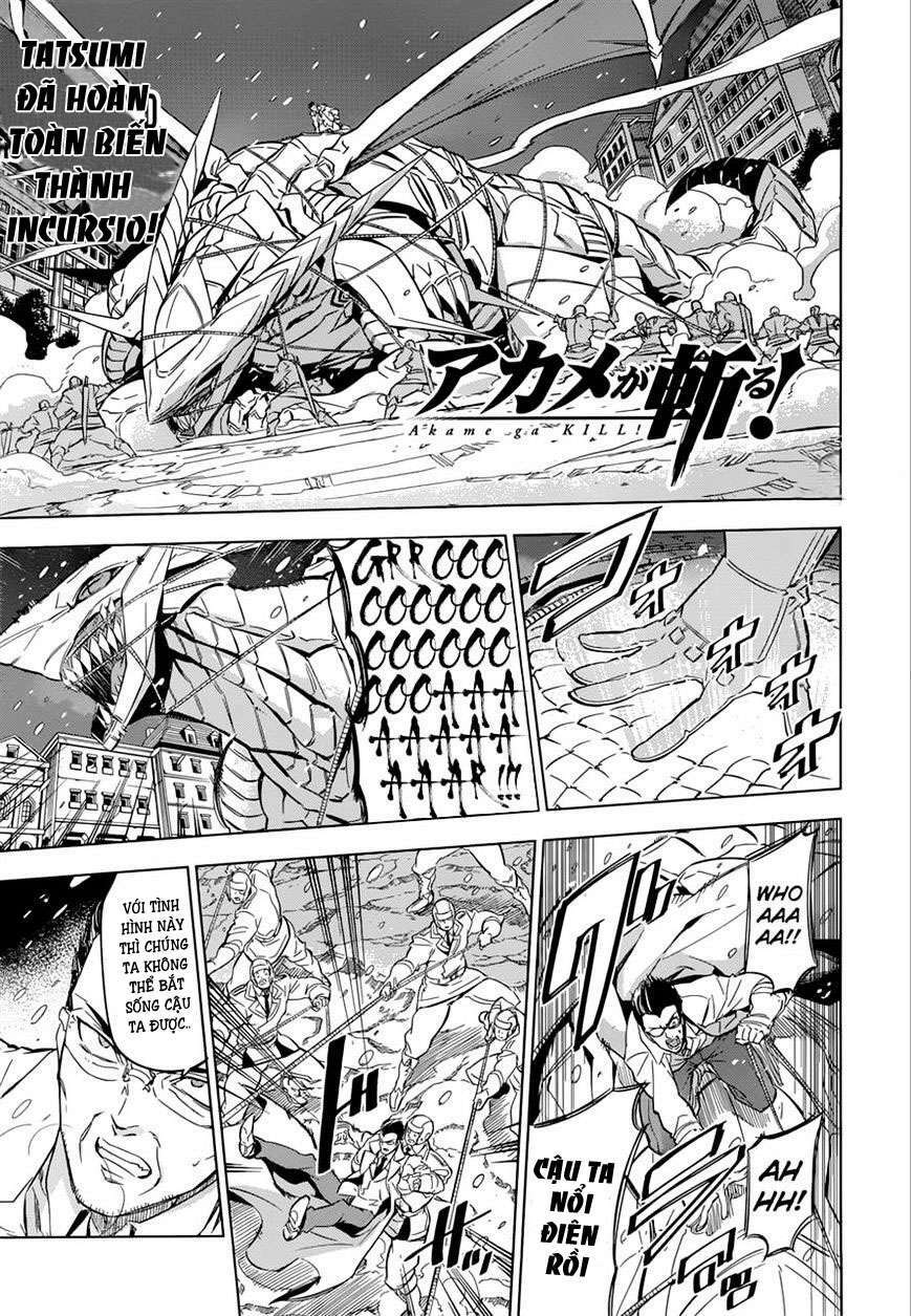 Akame Ga Kiru! Chương 76 Ảnh 3