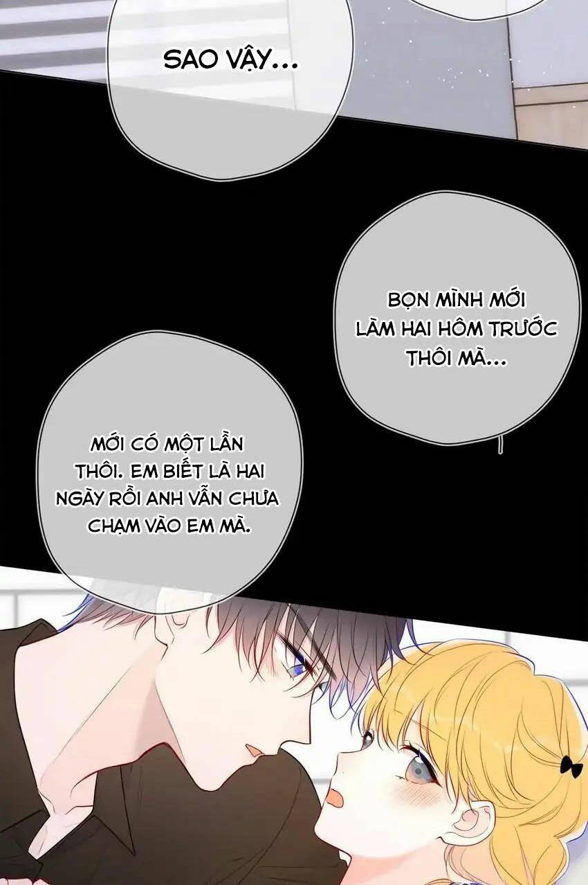 Ngôi Sao Cho Tôi Chương 142 Ảnh 17