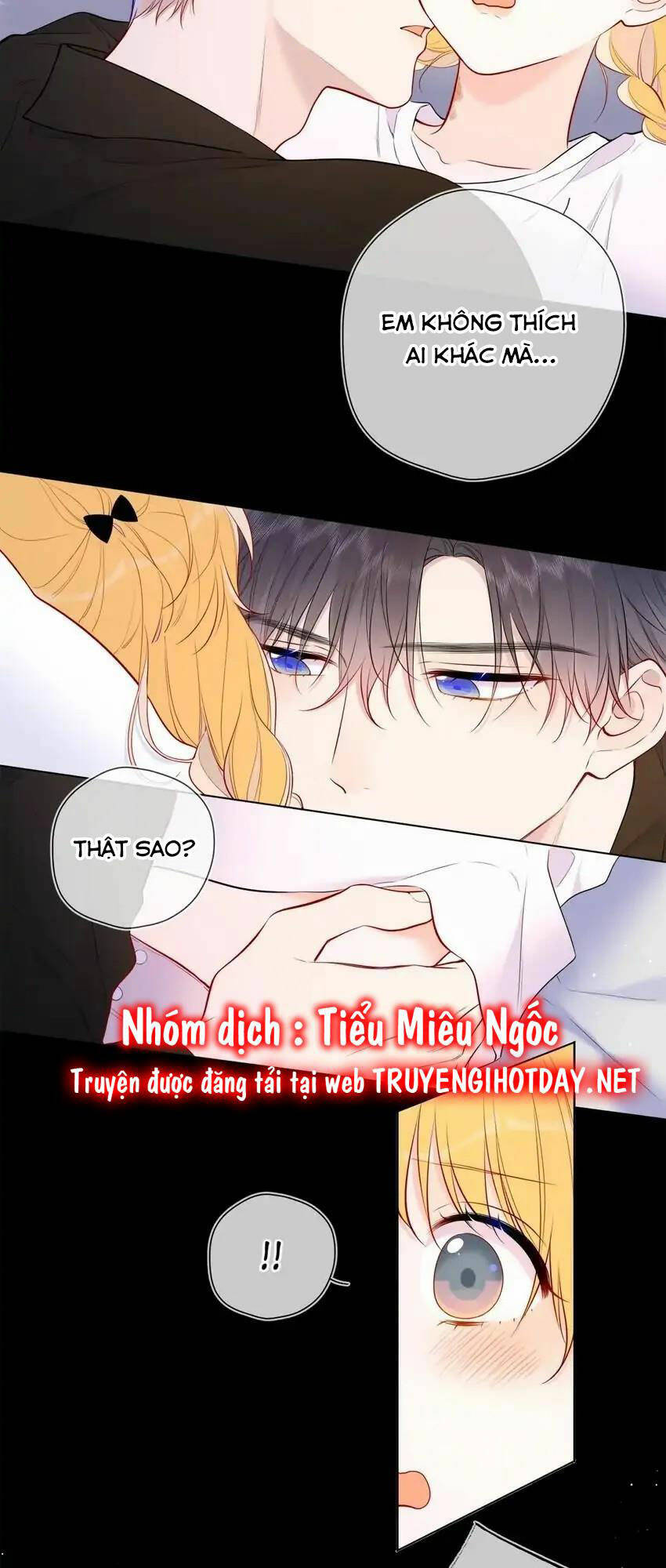 Ngôi Sao Cho Tôi Chương 142 Ảnh 15