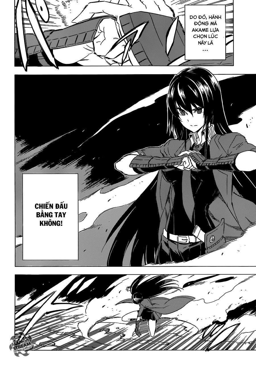 Akame Ga Kiru! Chương 59.1 Ảnh 14