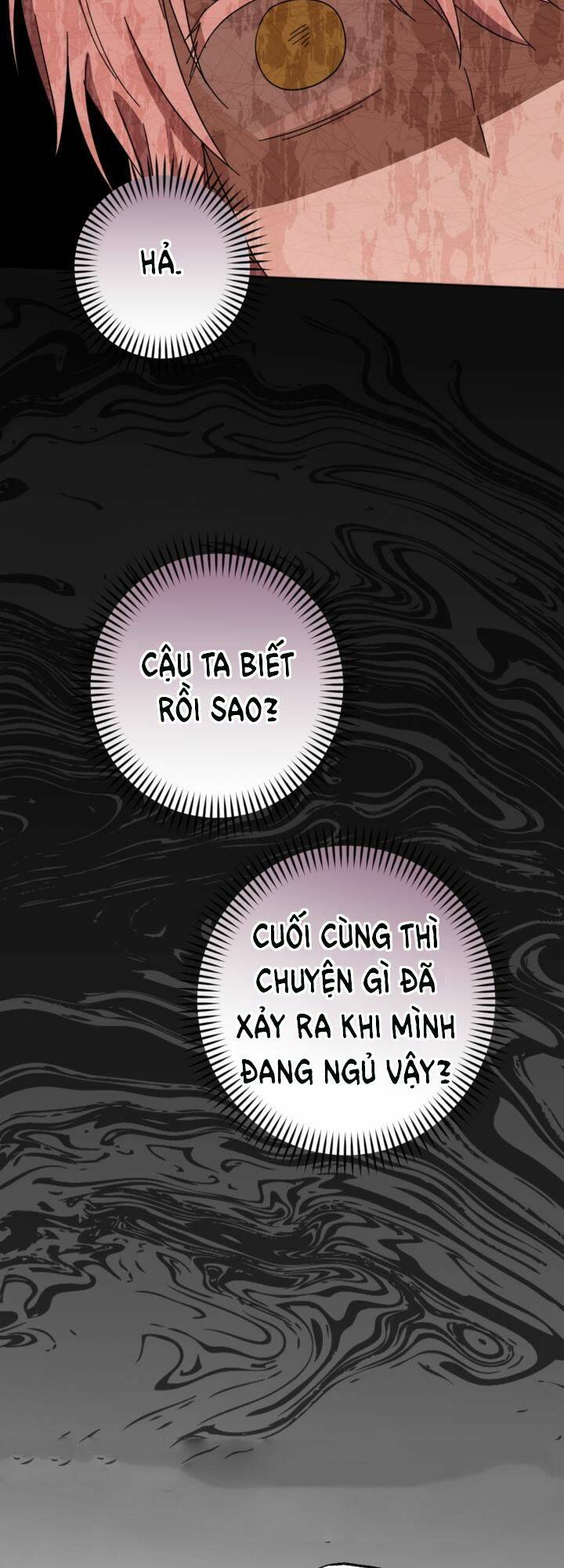 Cậu Ấy Thức Tỉnh Khi Tôi Đã Chết Chương 21 Ảnh 45