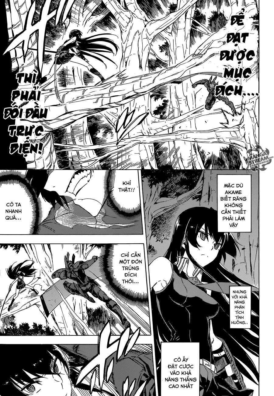 Akame Ga Kiru! Chương 62 Ảnh 19