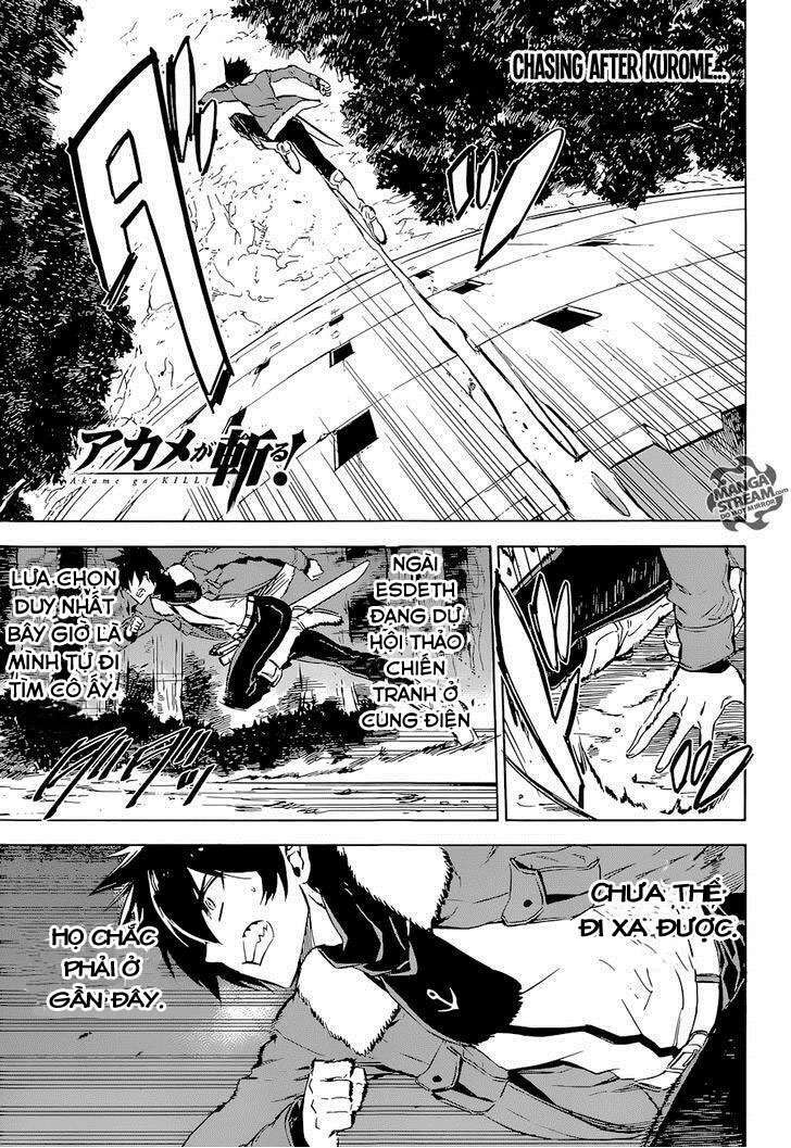Akame Ga Kiru! Chương 65 Ảnh 4