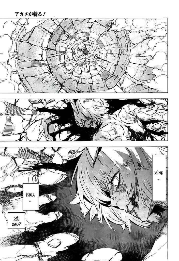 Akame Ga Kiru! Chương 73 Ảnh 15