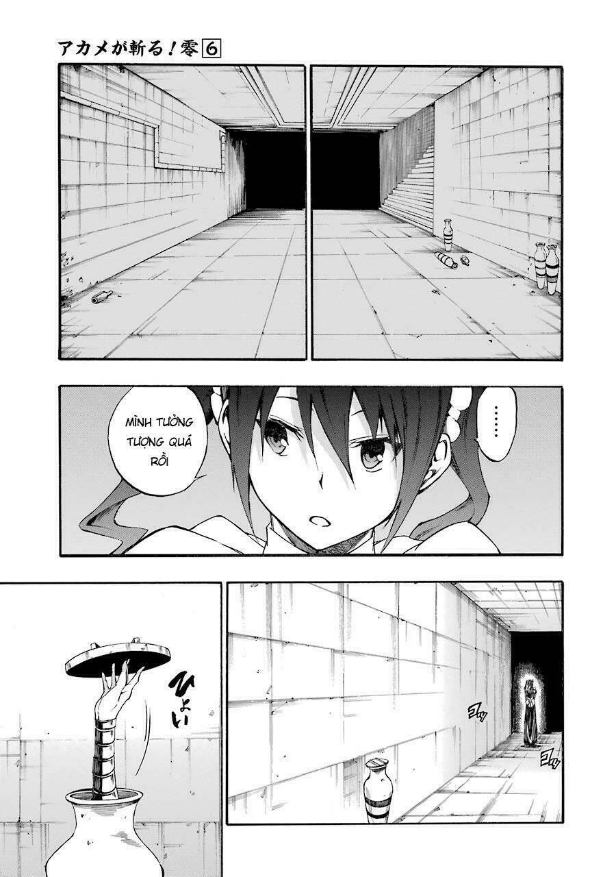 Akame Ga Kill! Zero Chương 37 Ảnh 20