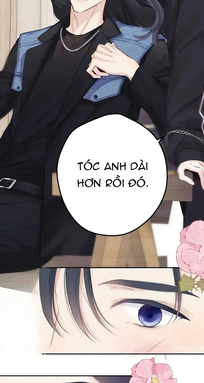 Bảo Vệ Siêu Sao Của Tôi Chương 144 Ảnh 12