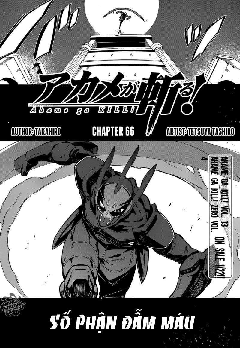 Akame Ga Kiru! Chương 66 Ảnh 7