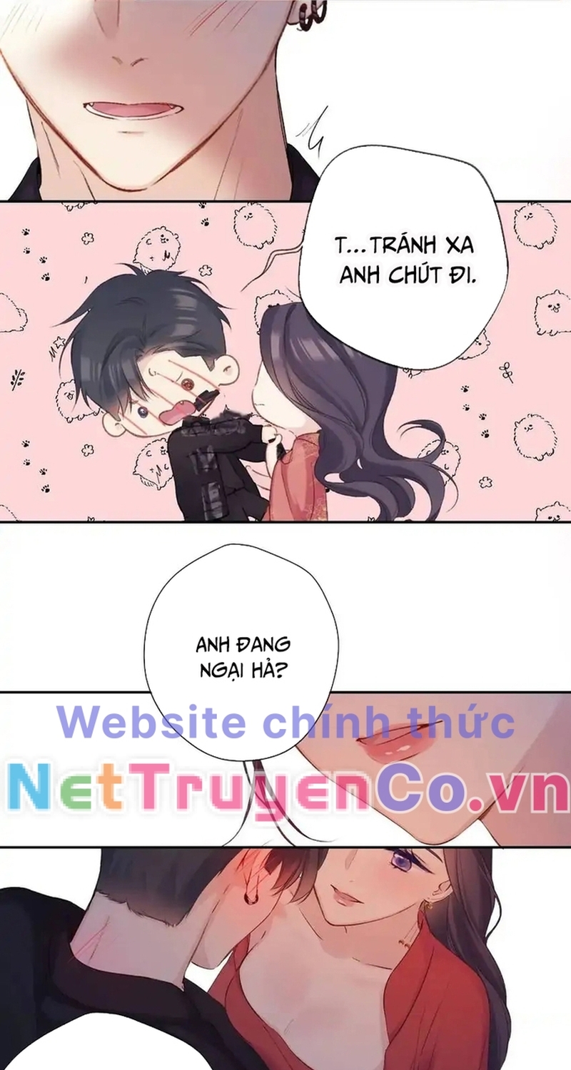 Bảo Vệ Siêu Sao Của Tôi Chương 147 Ảnh 41