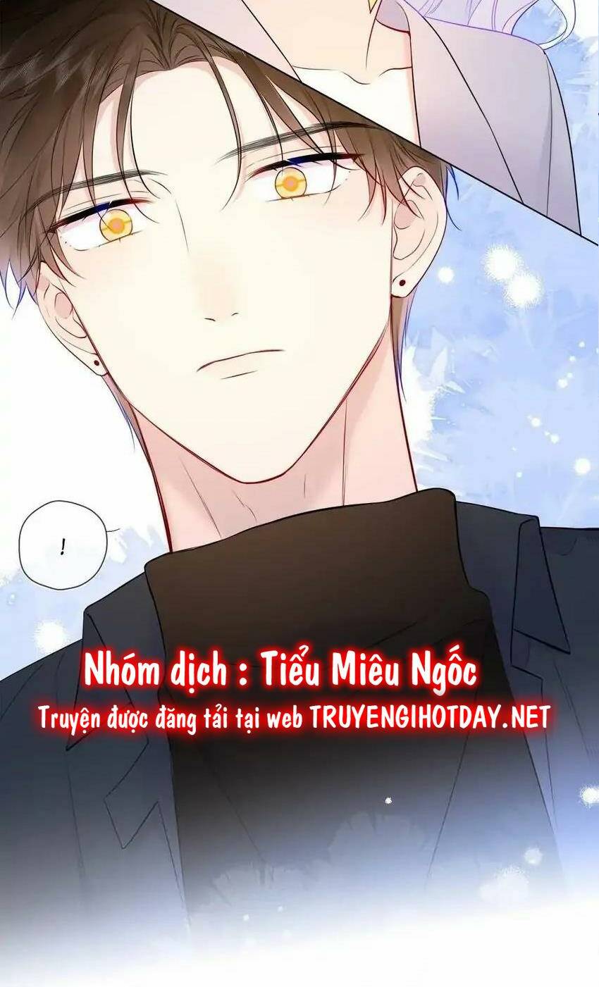 Ngôi Sao Cho Tôi Chương 142 Ảnh 36