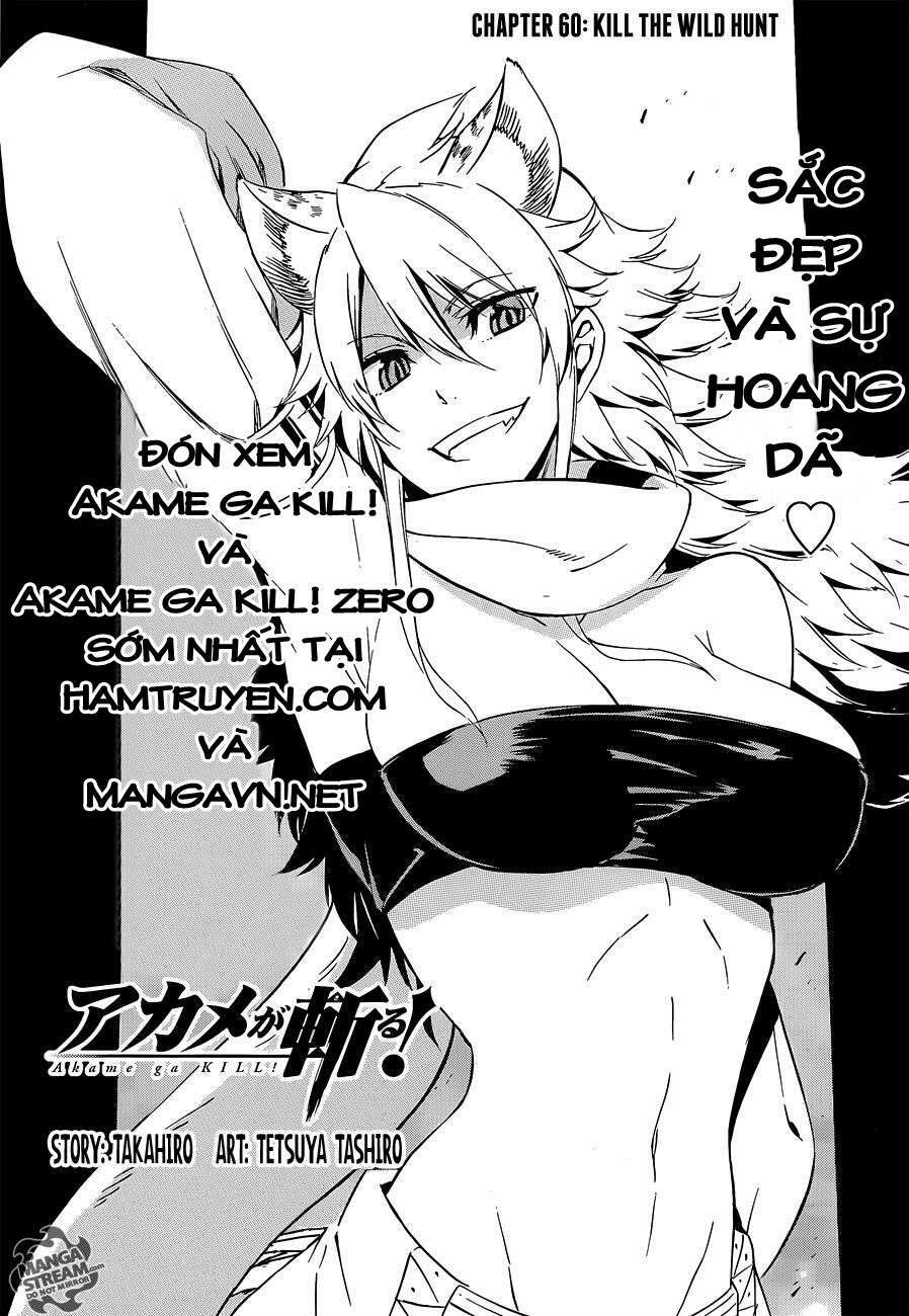 Akame Ga Kiru! Chương 60 Ảnh 4