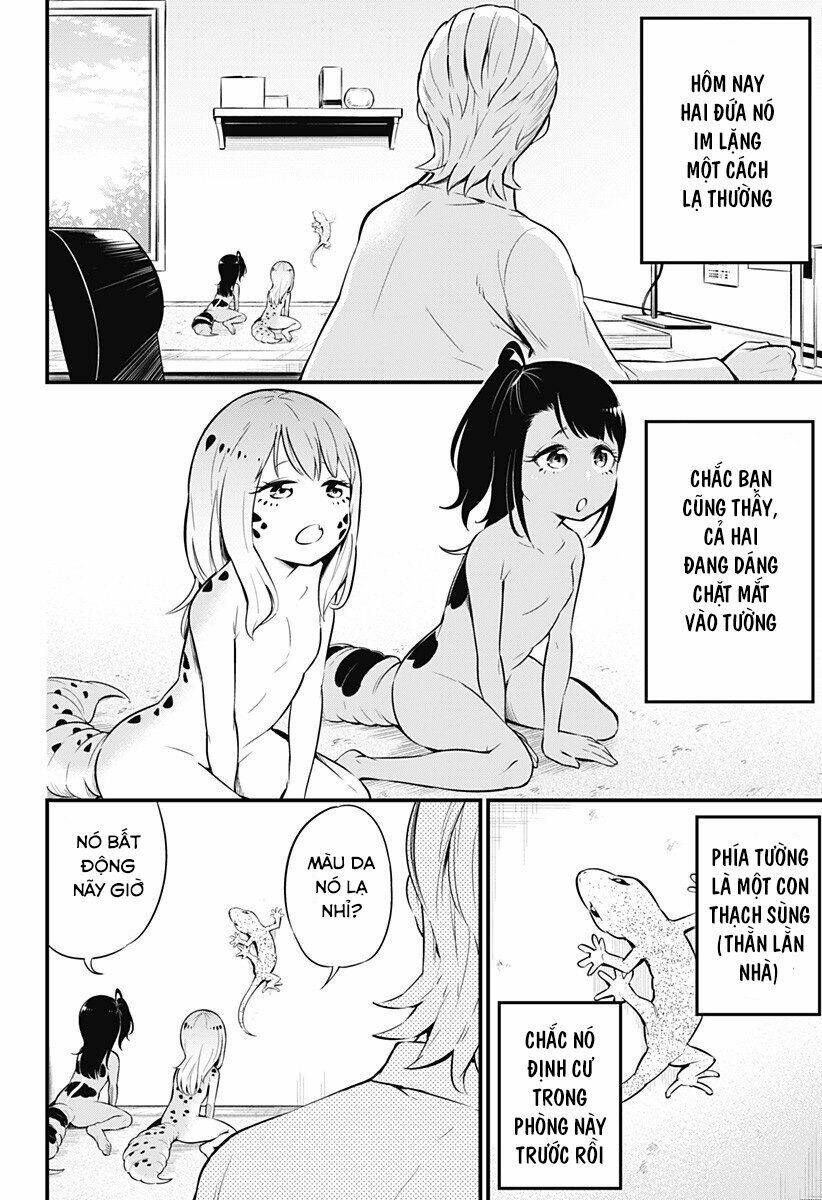 Hachuurui-Chan Wa Natsukanai Chương 5 Ảnh 3