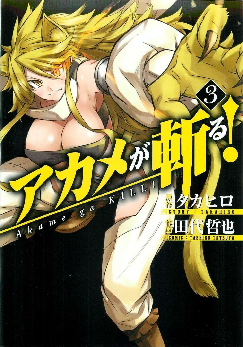 Akame Ga Kiru! Chương 72 Ảnh 3