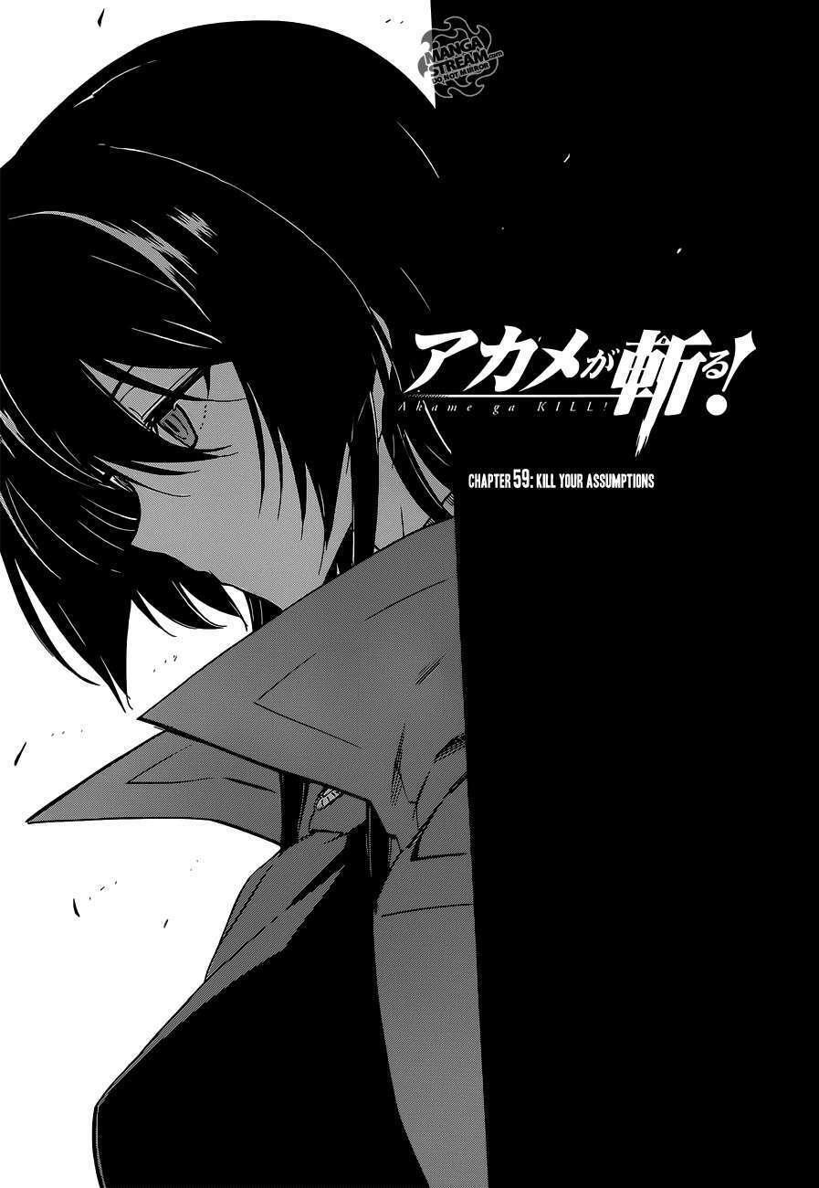 Akame Ga Kiru! Chương 59.2 Ảnh 4