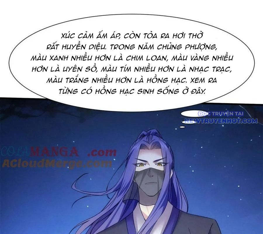 Ta Chính Là Không Theo Sáo Lộ Ra Bài Chương 311 Ảnh 17
