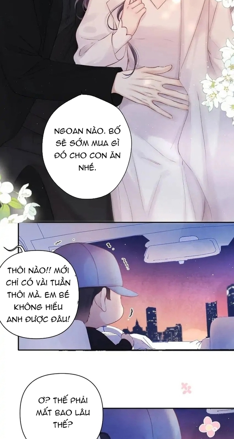 Bảo Vệ Siêu Sao Của Tôi Chương 143 Ảnh 39
