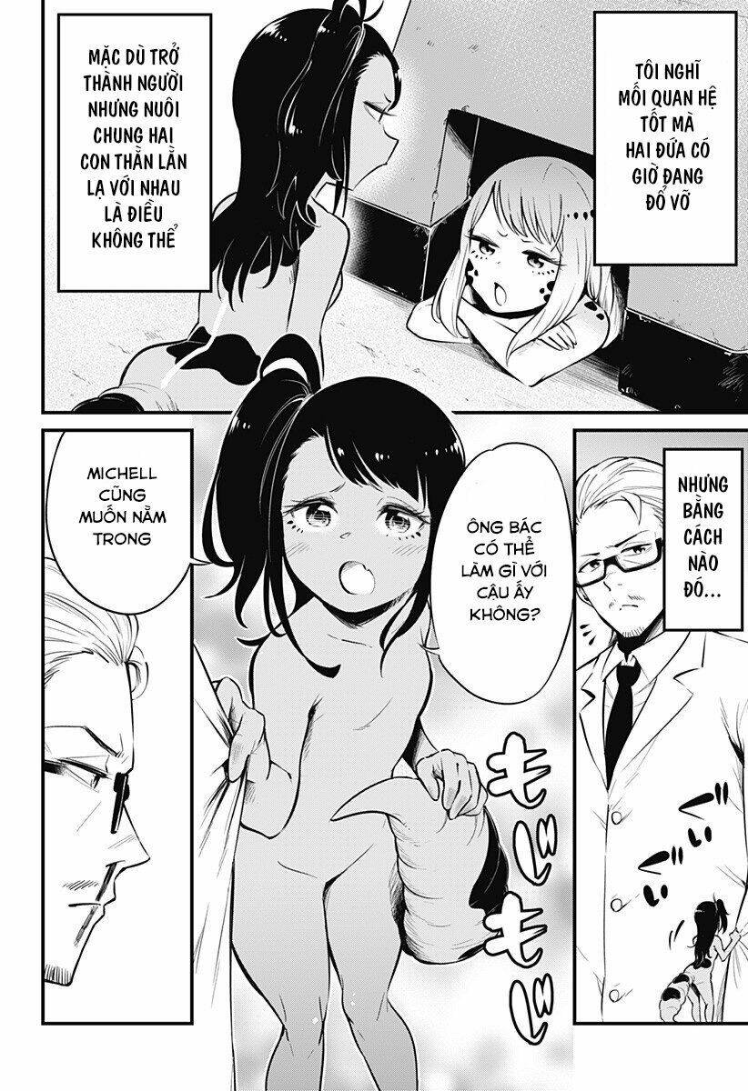 Hachuurui-Chan Wa Natsukanai Chương 4 Ảnh 5