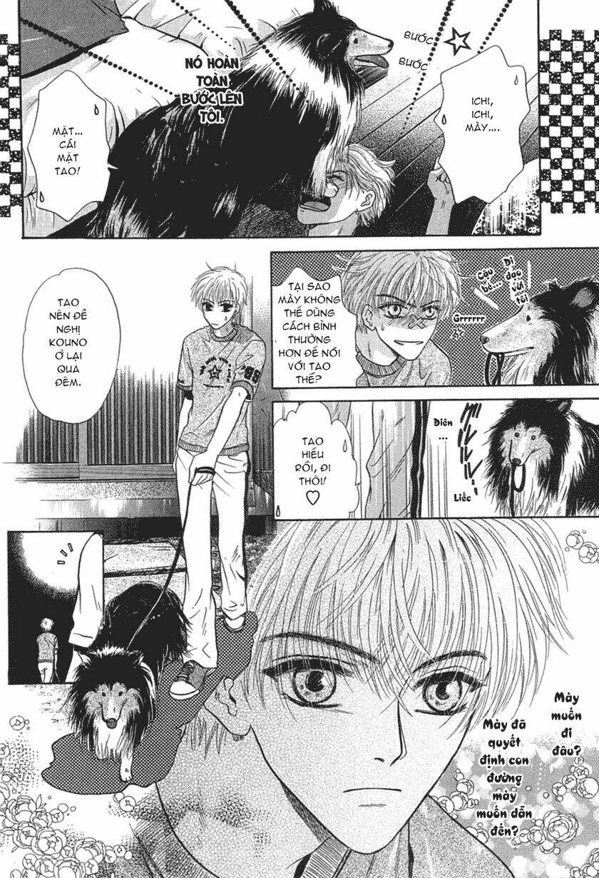 Komatta Toki Ni Wa Hoshi Ni Kike! Chương 23 Ảnh 30