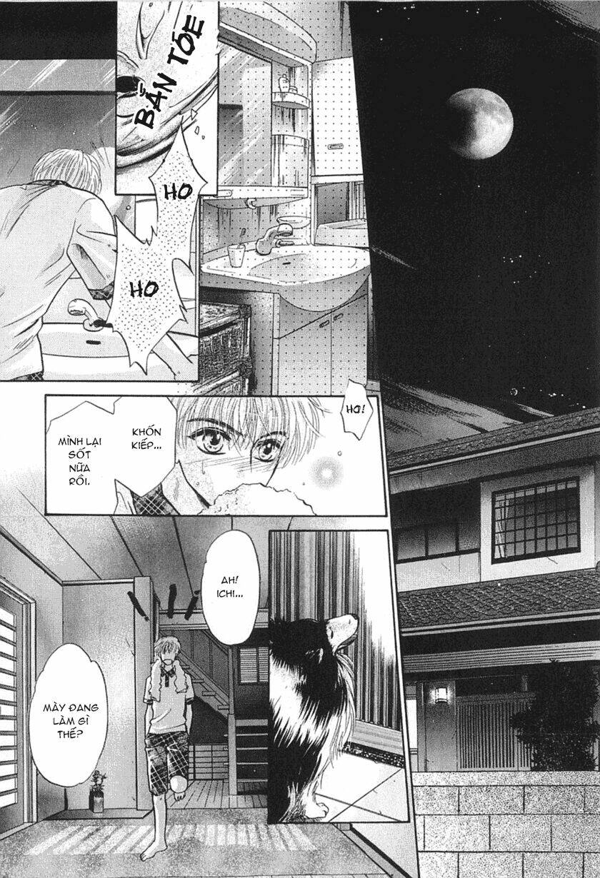 Komatta Toki Ni Wa Hoshi Ni Kike! Chương 23 Ảnh 39