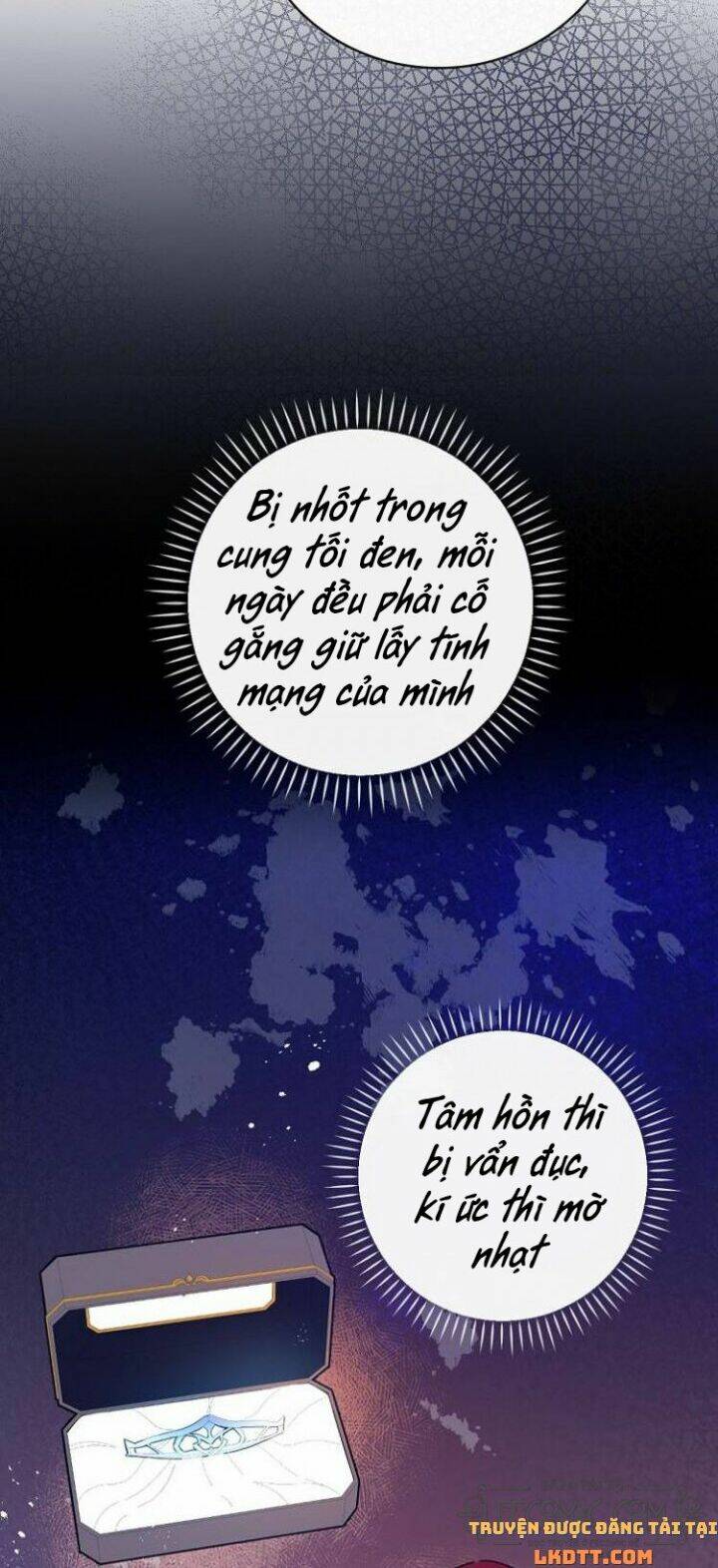 Kỵ Sĩ Đỏ Không Mê Tiền Mù Quáng Chương 38 Ảnh 38