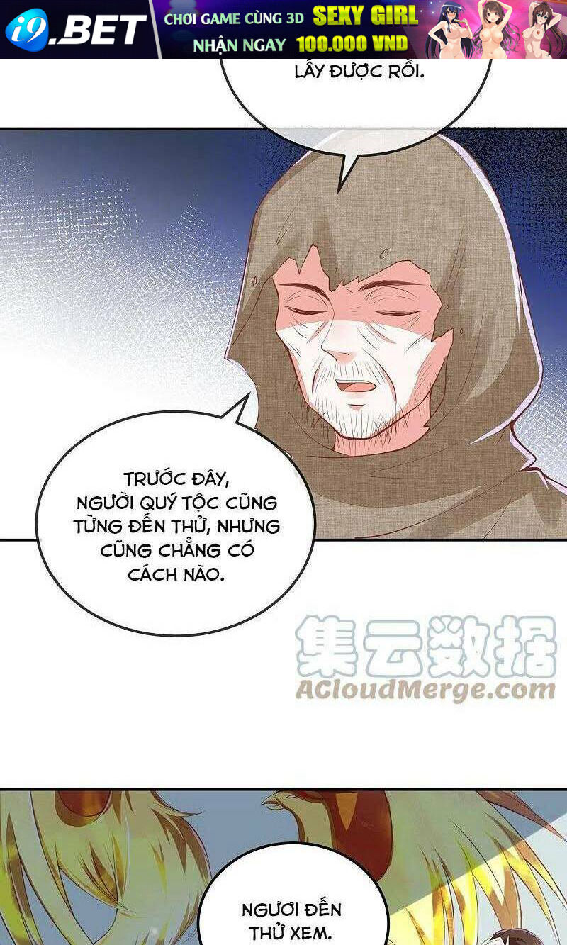 Phượng Hoàng Thác: Chuyên Sủng Khí Thê Chương 254 Ảnh 10