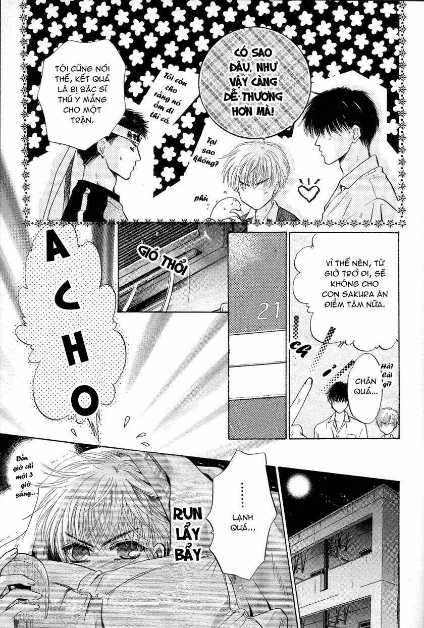 Komatta Toki Ni Wa Hoshi Ni Kike! Chương 27 Ảnh 19