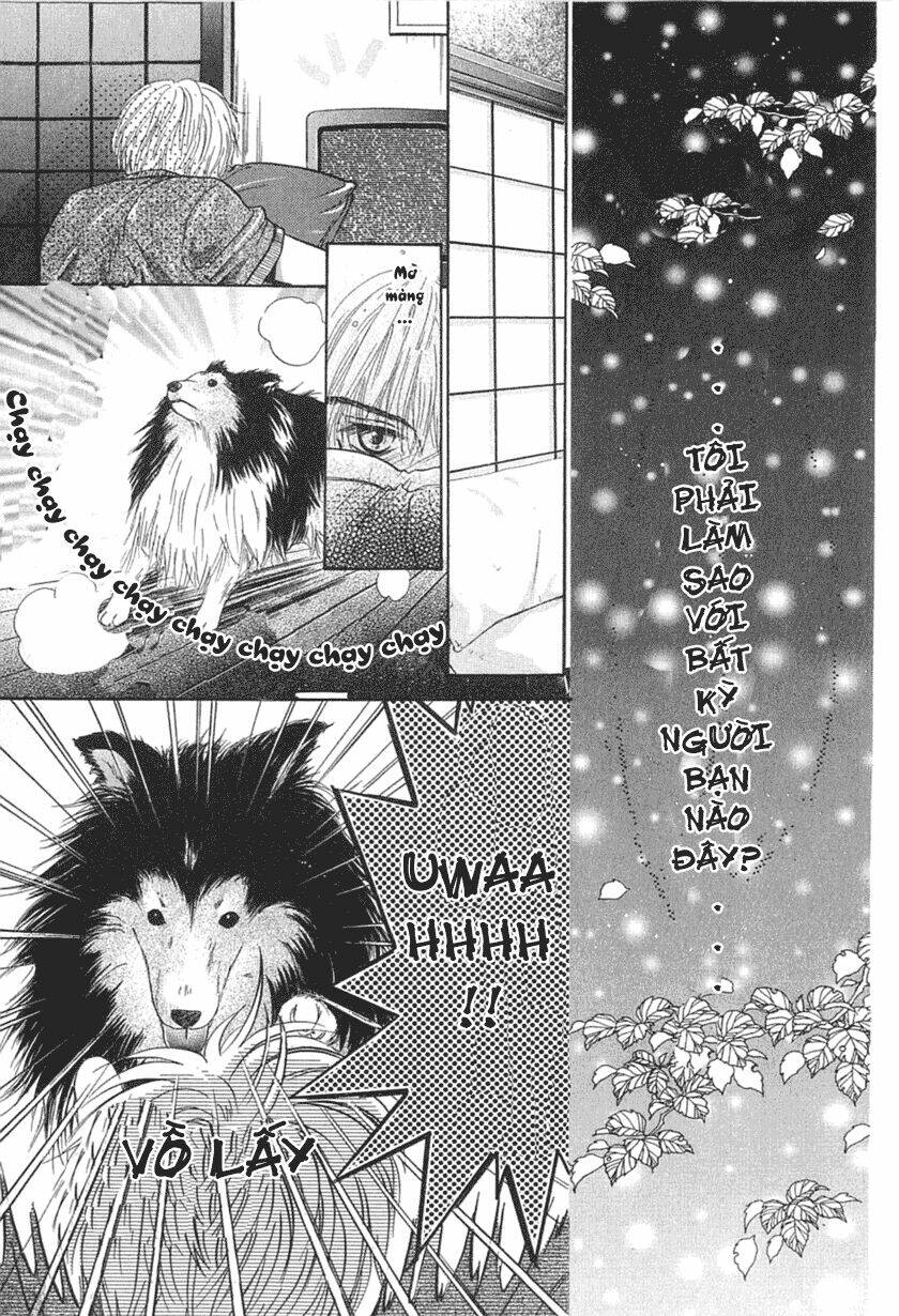 Komatta Toki Ni Wa Hoshi Ni Kike! Chương 23 Ảnh 29
