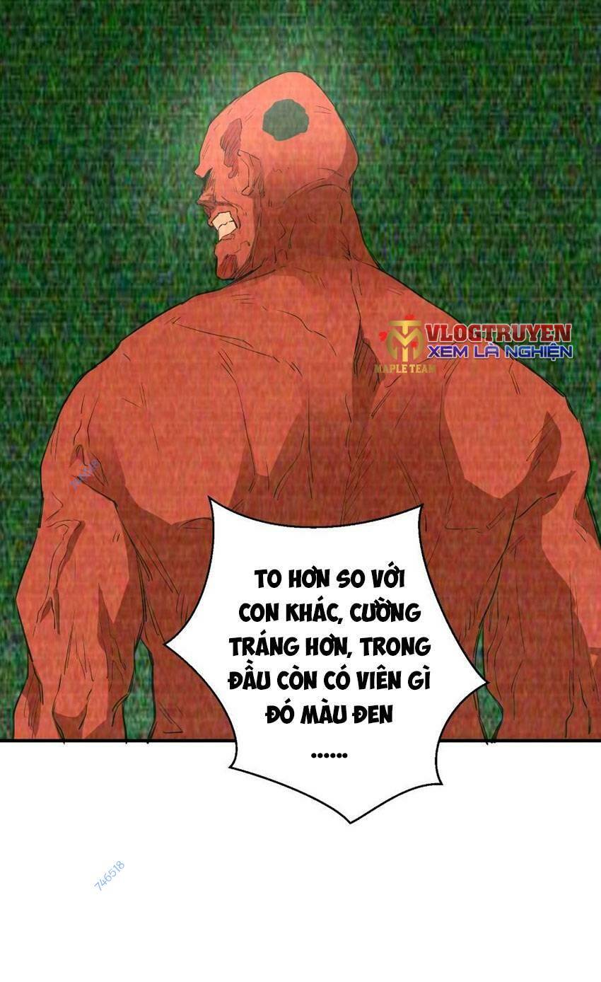 Thảm Họa Ngày Tận Thế, Tôi Tái Sinh Biến Cả Gia Đình Trở Thành Một Ông Trùm! Chương 29 Ảnh 18