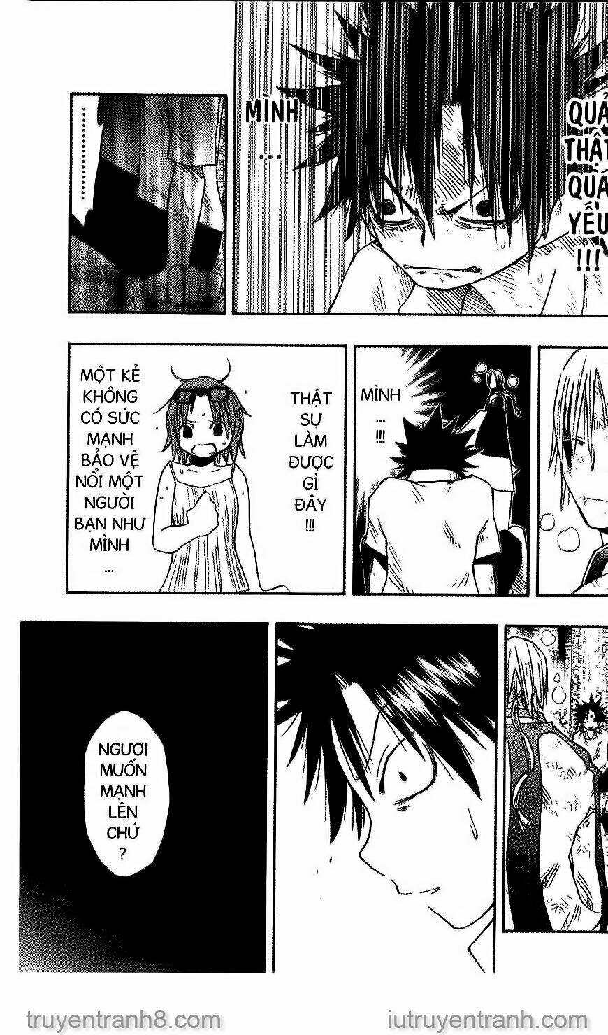 Law Of Ueki Chương 148 Ảnh 13