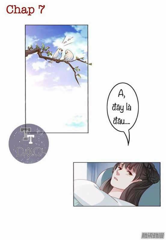 Hoàng Thái Tử, Xin Nhận Nuôi Em! Chương 7 Ảnh 2