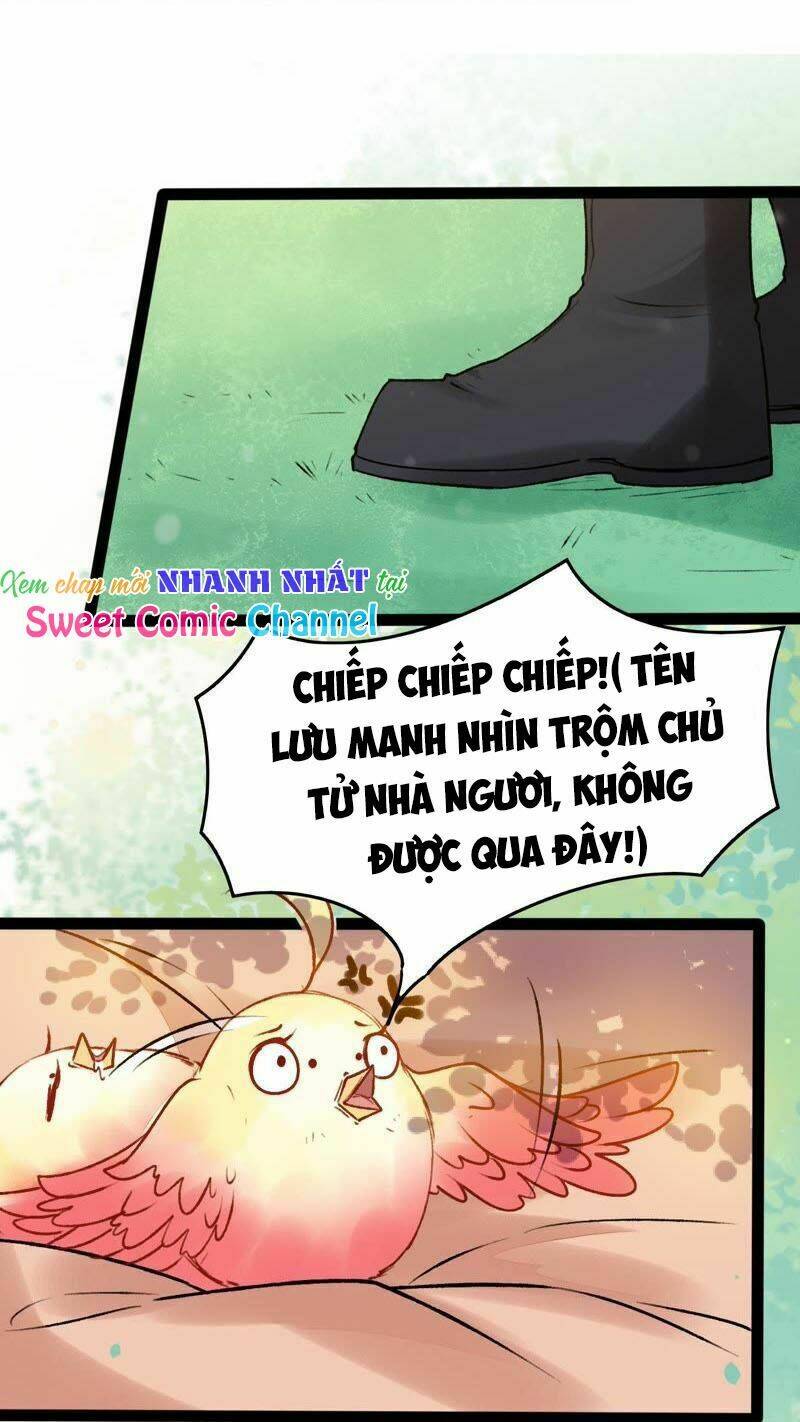 Thịnh Sủng Kiều Nữ Trở Về Triều Ca Chương 26 Ảnh 24