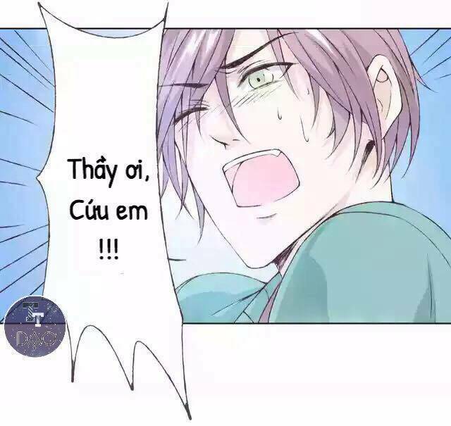 Tôi Không Phải Đa Nhân Cách Chương 24 Ảnh 2