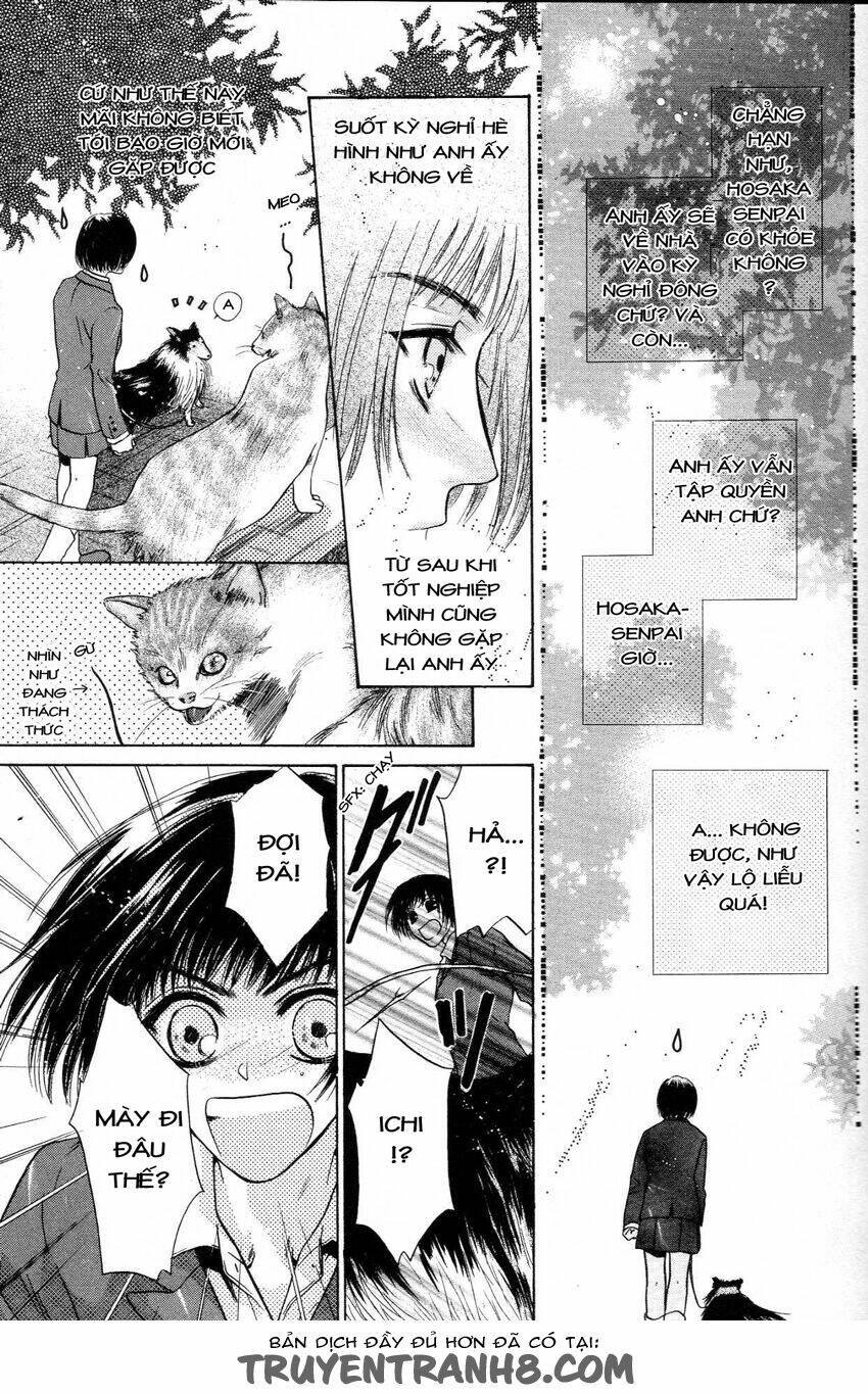 Komatta Toki Ni Wa Hoshi Ni Kike! Chương 35 Ảnh 7