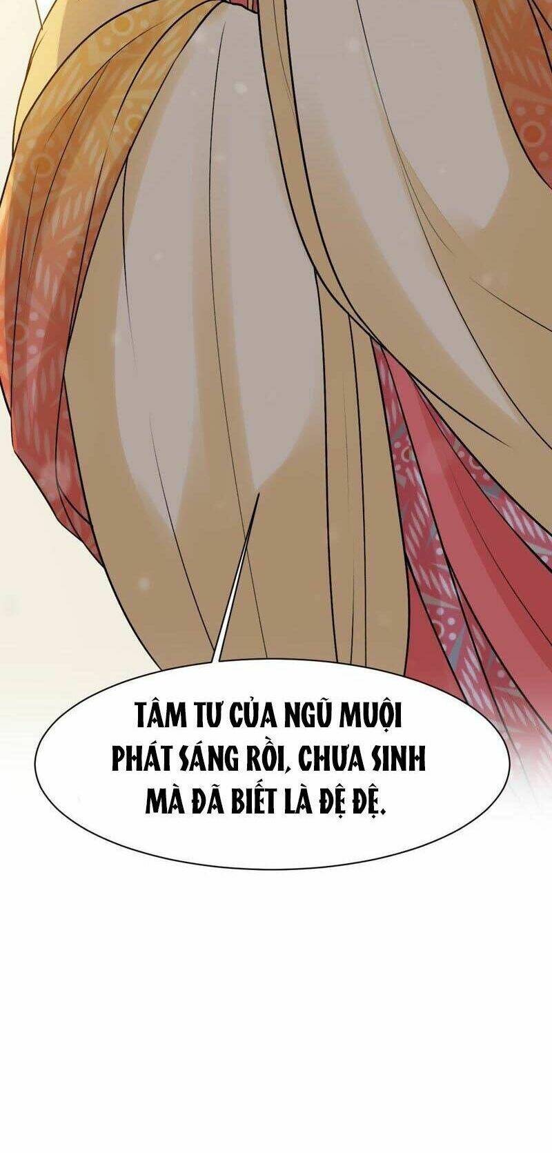 Thịnh Sủng Kiều Nữ Trở Về Triều Ca Chương 42 Ảnh 29