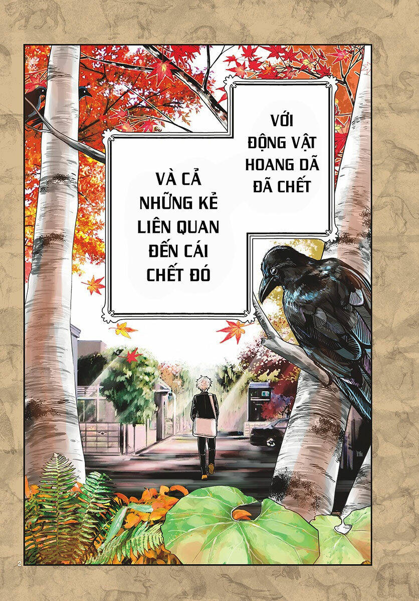 Last Karte Chương 1 Ảnh 4