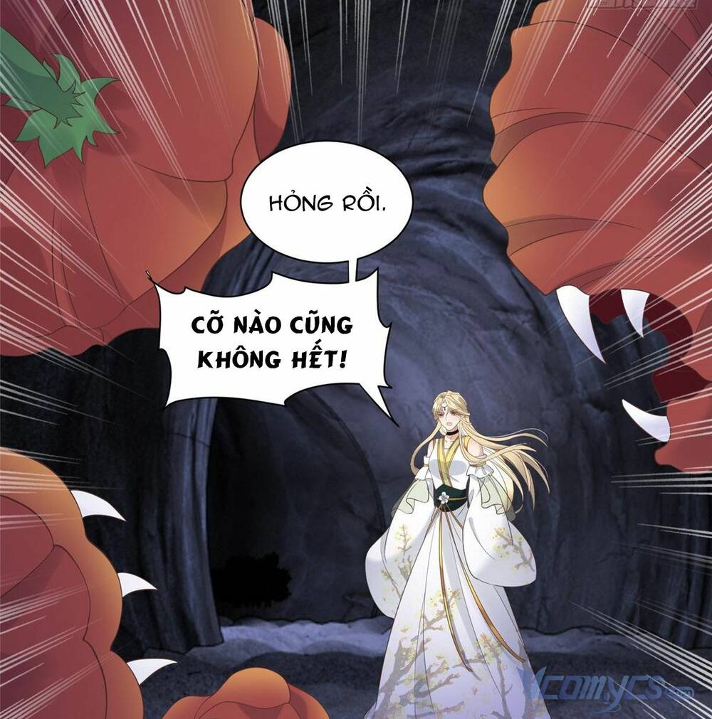 Bệnh Kiều Vương Gia Dựa Vào Ta Để Tiếp Tục Sống Chương 97 Ảnh 16
