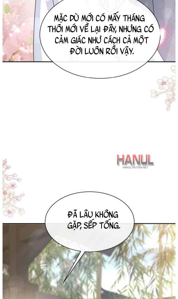 Bá Đạo Tổng Tài Nhẹ Nhàng Yêu Chương 348 Ảnh 22