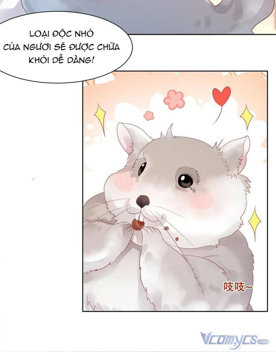 Bệnh Kiều Vương Gia Dựa Vào Ta Để Tiếp Tục Sống Chương 89 Ảnh 17