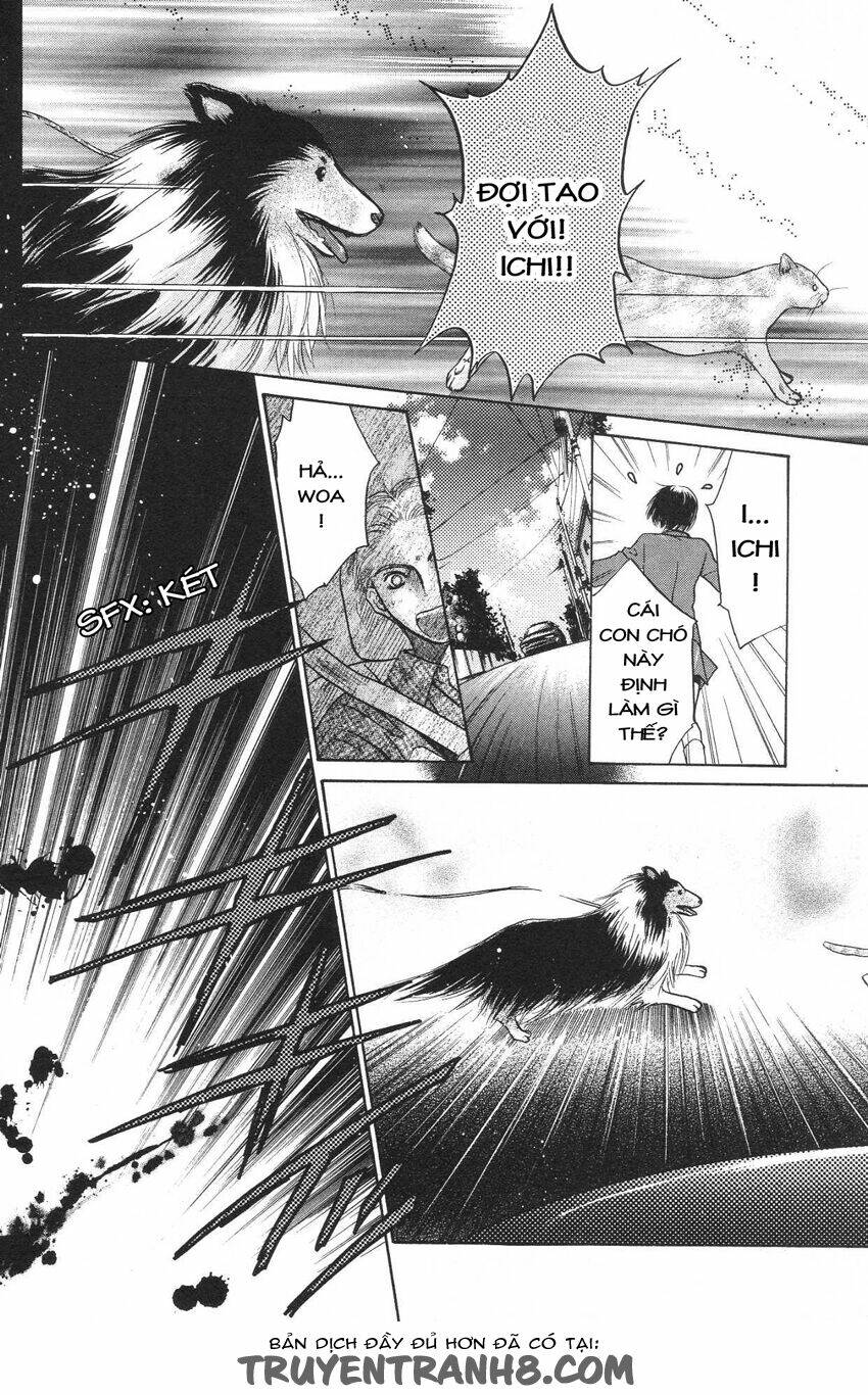 Komatta Toki Ni Wa Hoshi Ni Kike! Chương 35 Ảnh 8