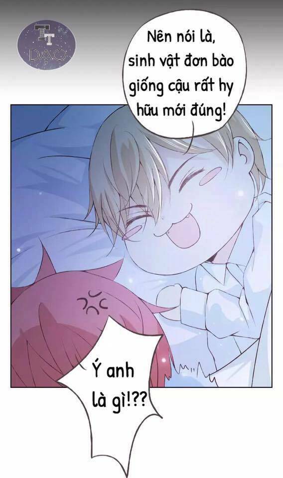 Tôi Không Phải Đa Nhân Cách Chương 34 Ảnh 41