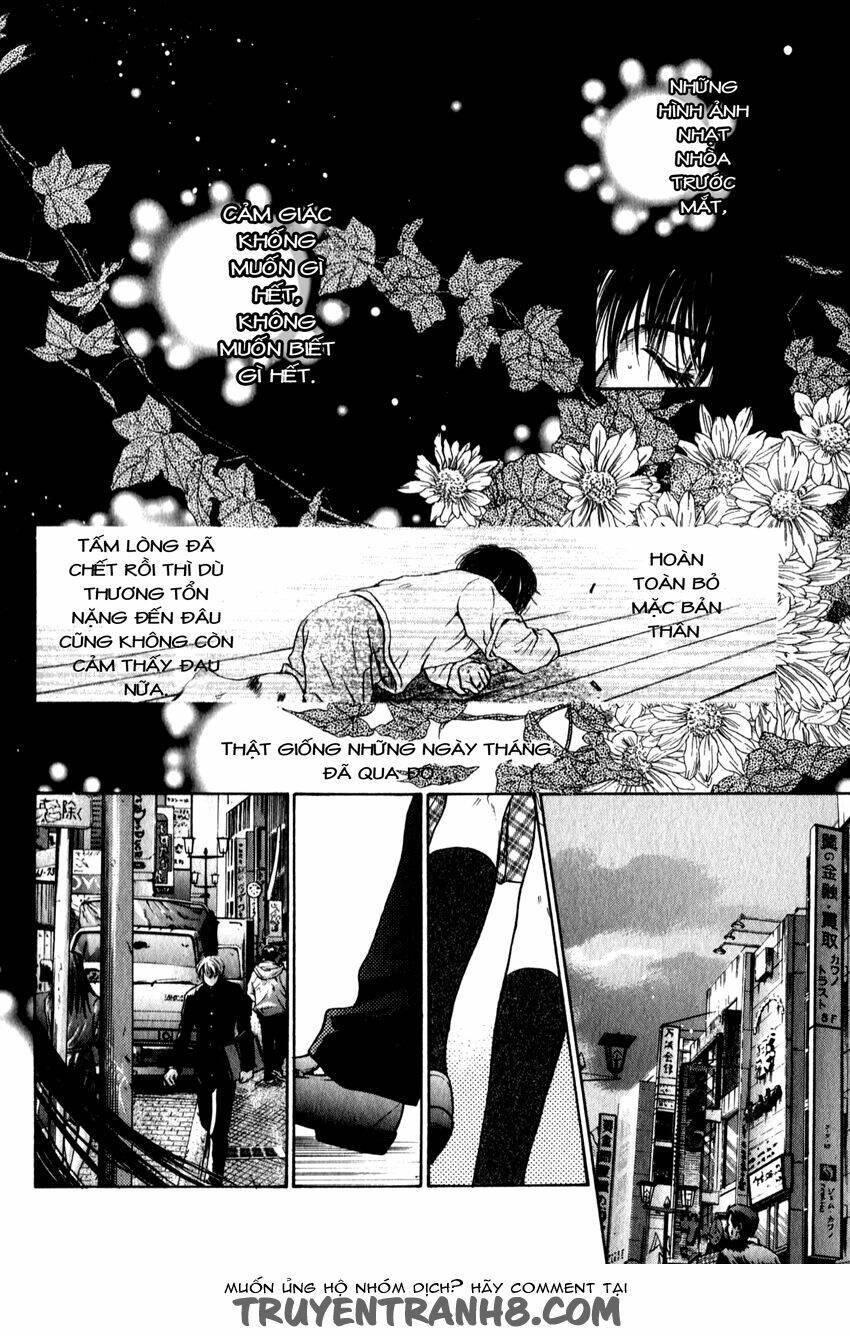 Komatta Toki Ni Wa Hoshi Ni Kike! Chương 33 Ảnh 6