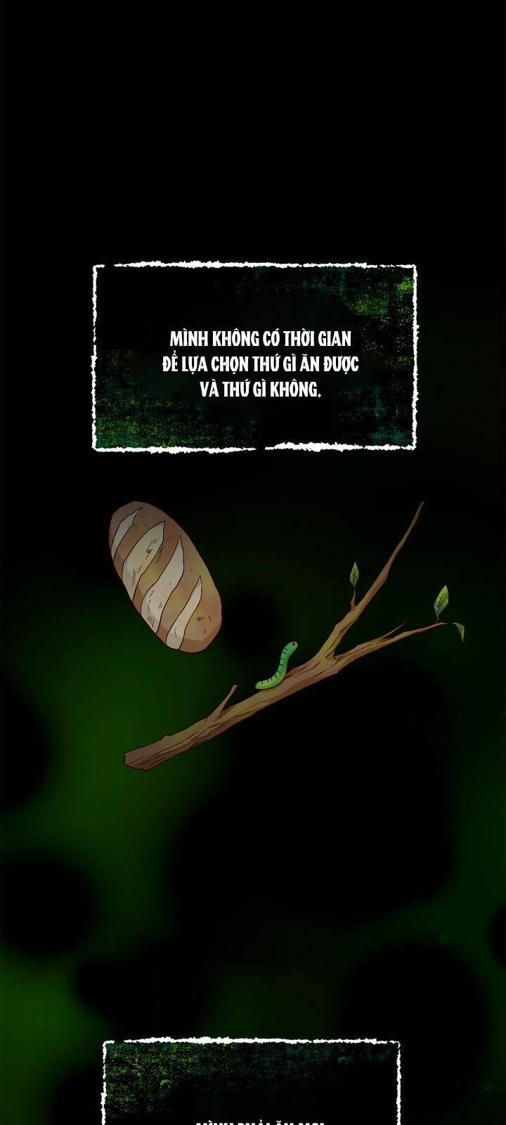 Aristité Được Ban Phước Một Lời Nguyền Chương 4 Ảnh 53