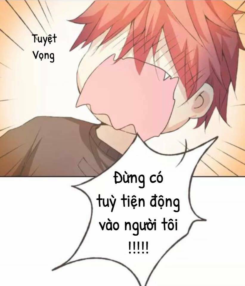 Tôi Không Phải Đa Nhân Cách Chương 36 Ảnh 62