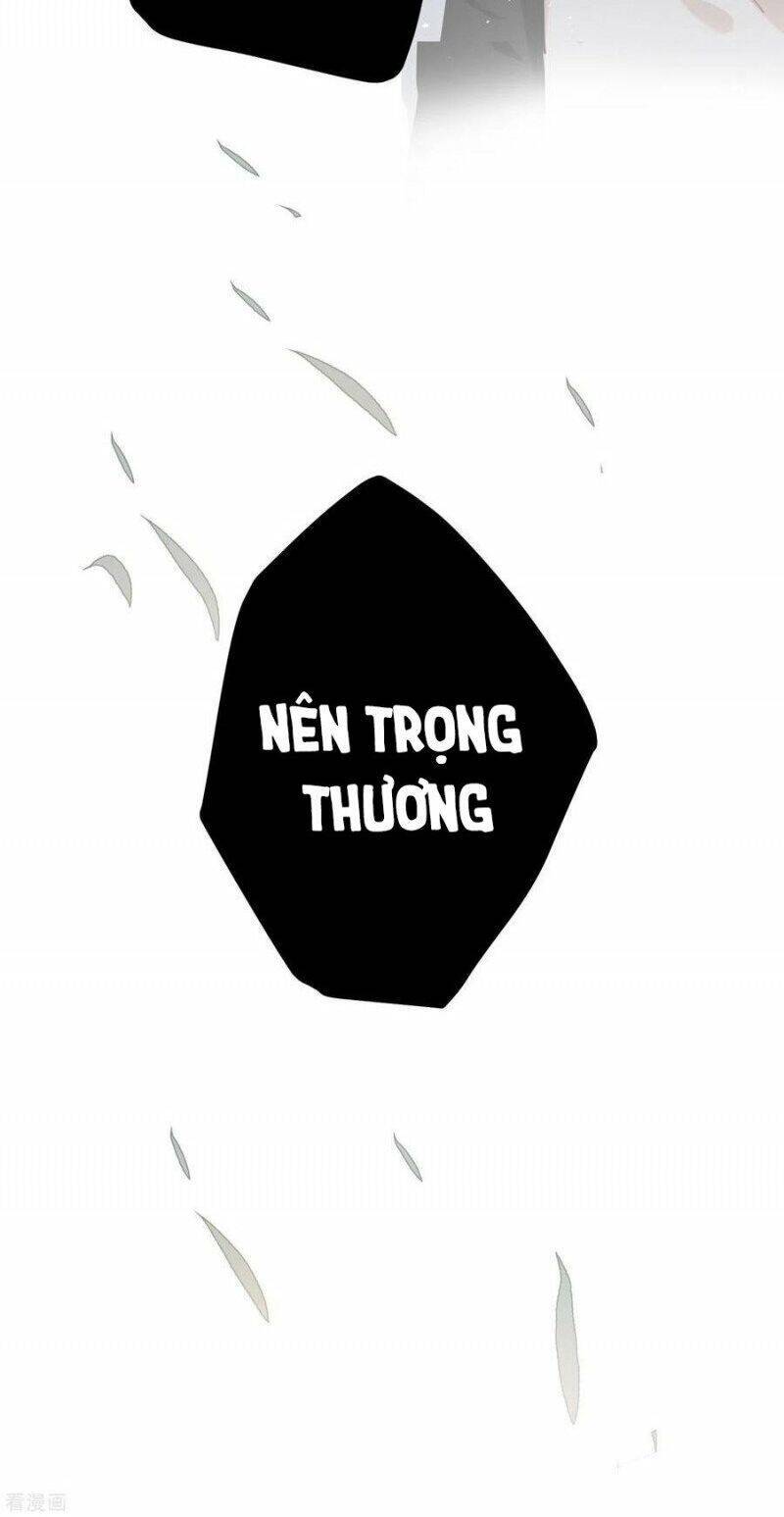 Công Chúa Pháo Hôi Muốn Tùy Tiện Đến Cùng Chương 83 Ảnh 13