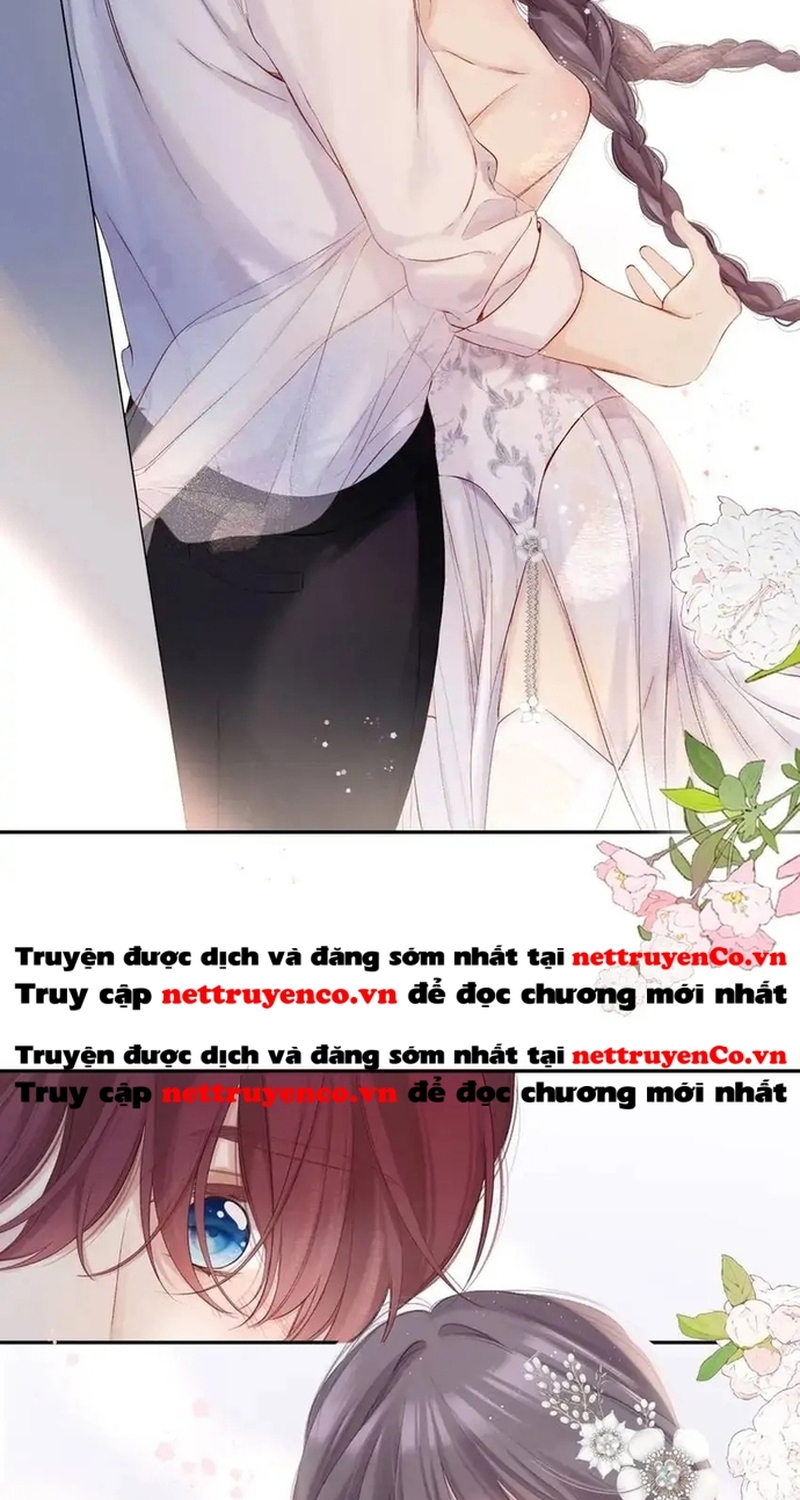 Bảo Vệ Siêu Sao Của Tôi Chương 142 Ảnh 11