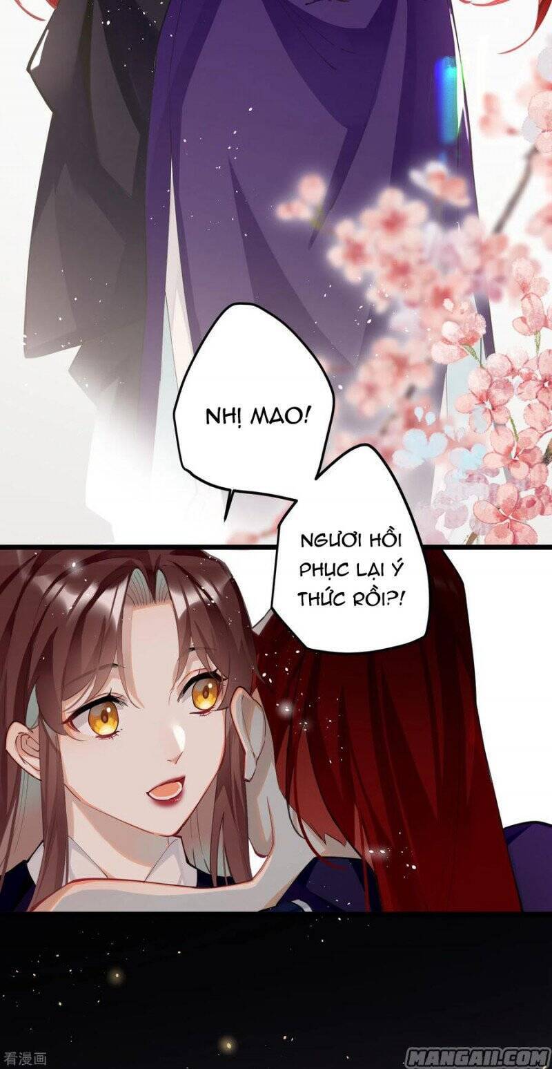 Công Chúa Pháo Hôi Muốn Tùy Tiện Đến Cùng Chương 87 Ảnh 5