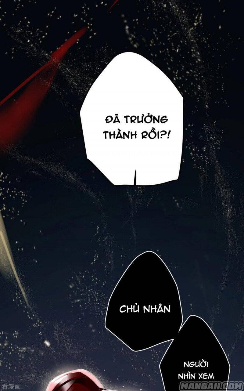Công Chúa Pháo Hôi Muốn Tùy Tiện Đến Cùng Chương 85 Ảnh 8