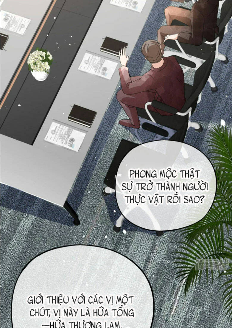 Cô Vợ Hợp Đồng Lạnh Lùng Không Dễ Đụng Đâu Chương 278 Ảnh 33