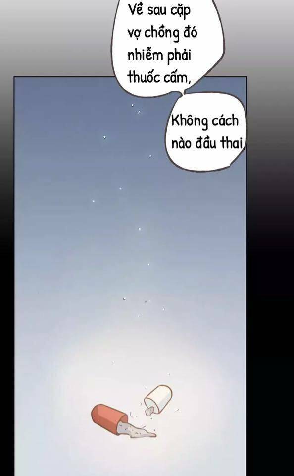 Tôi Không Phải Đa Nhân Cách Chương 37 Ảnh 28