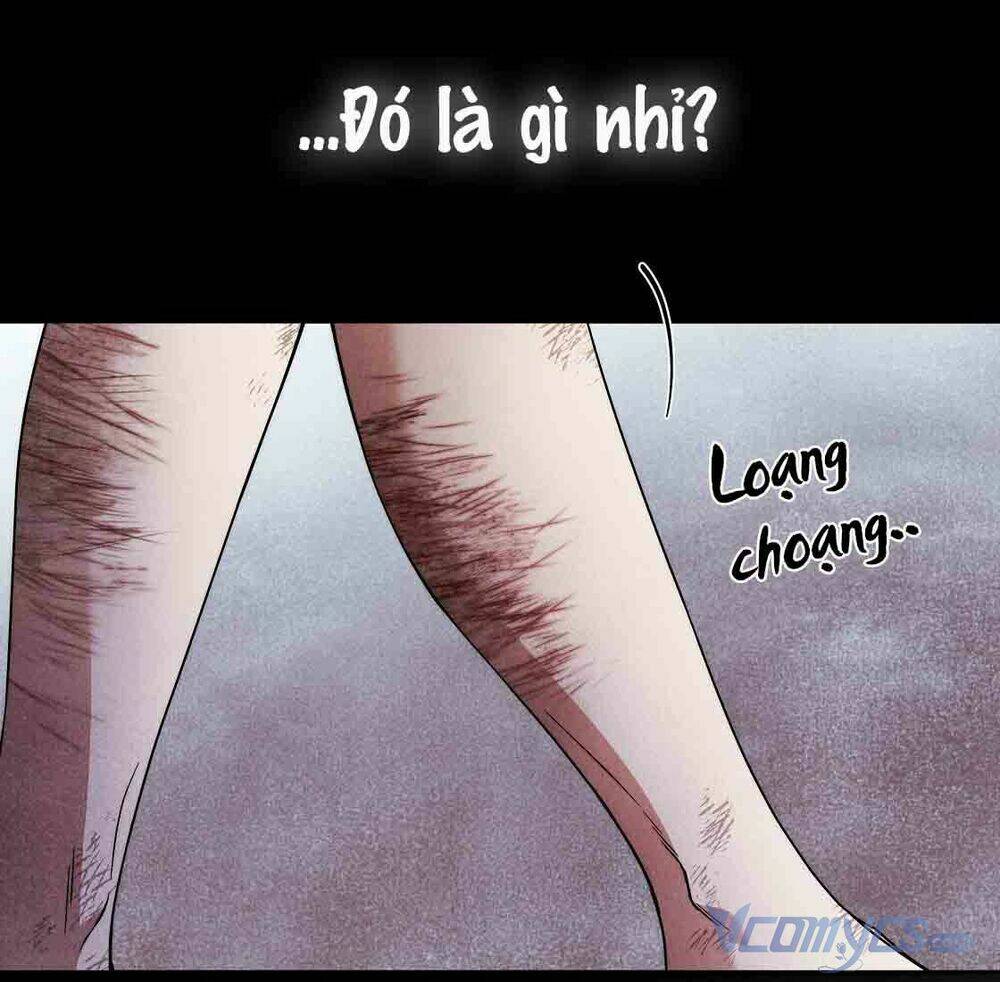 Lời Nói Dối Vĩnh Cửu Chương 23 Ảnh 18